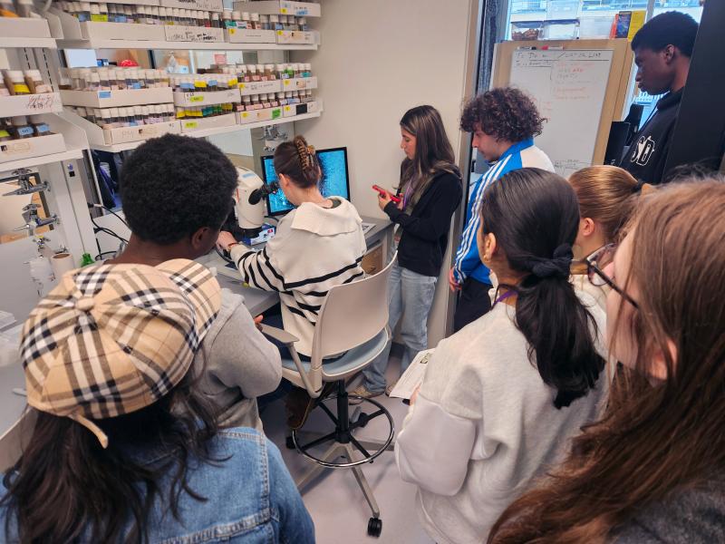 Neuroscience and Cognition Bootcamp in the lab