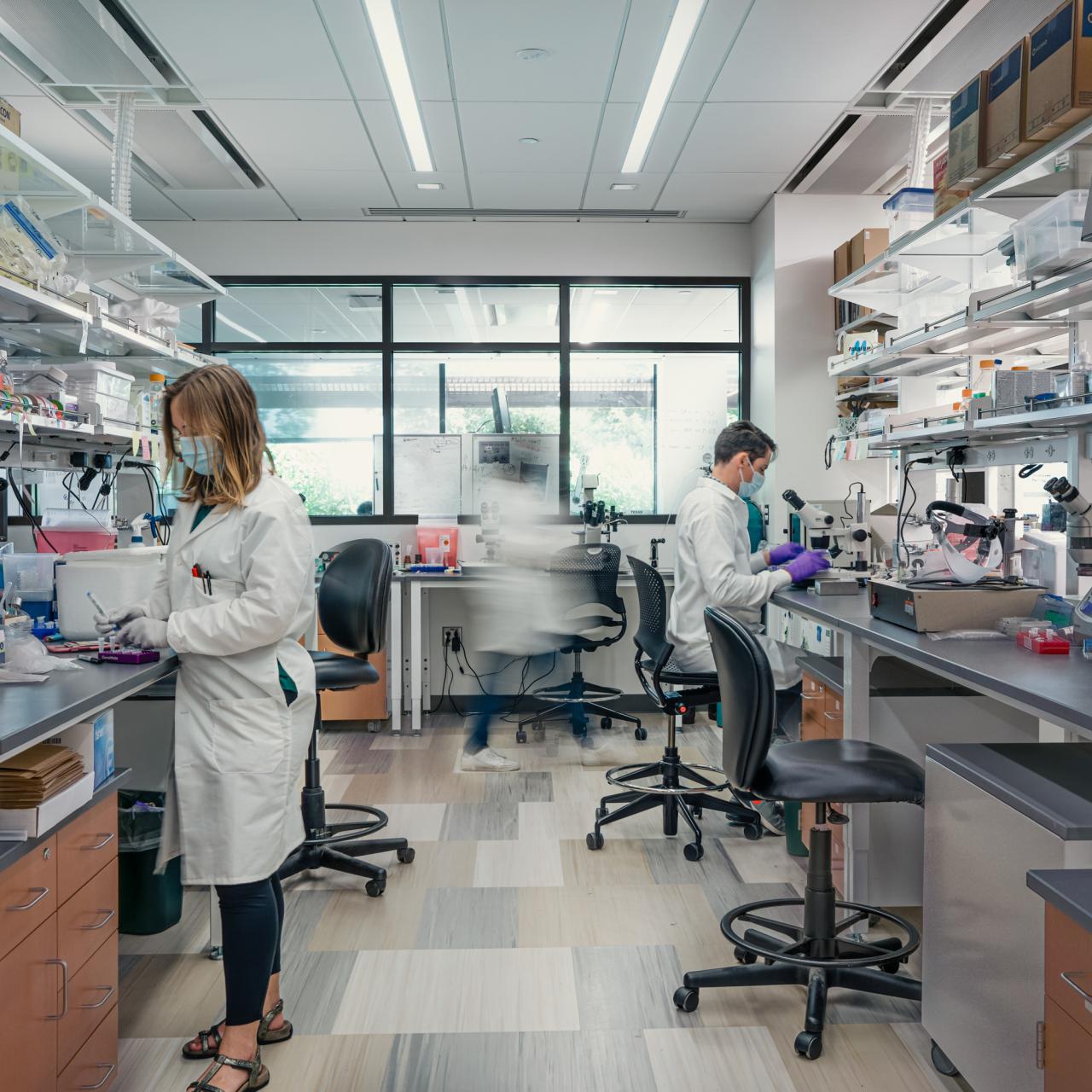 Researchers working in a wet lab