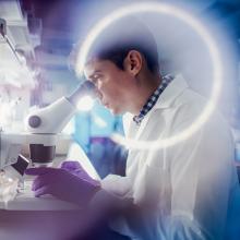 Postdoctoral researcher using a microscope in a lab