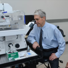 Peter Salovey peers into a microscope in the Yale Science Building. (Photo by Michael Marsland)