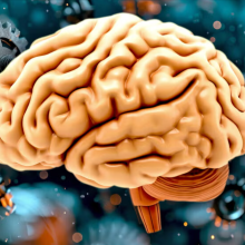 What makes a memory? It may be related to how hard your brain had to work