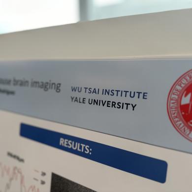 Wu Tsai Institute affiliation